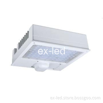 Excellent 120w led gas station light Projector Lamp, Floodlight IP66
